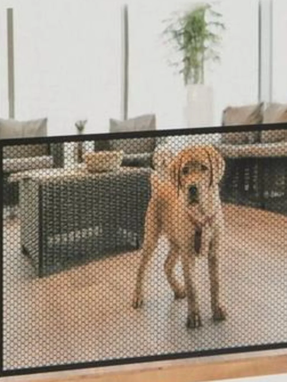 Coperni Portable Mesh Dog Gate - Black